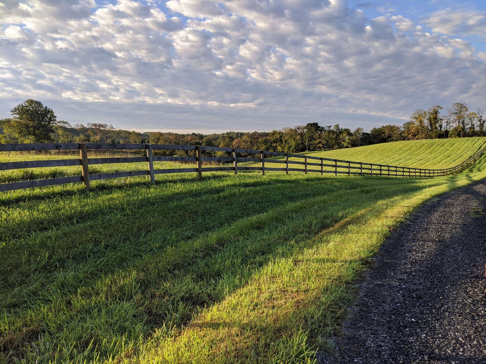 road meets pasture meets sky